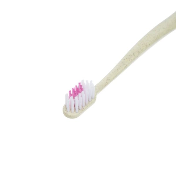 مسواک ریجوی Retango برس متوسط 2 عددی - Image 6
