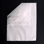 دستمال توالت حجیم شده 2 رول نایس - Image 2