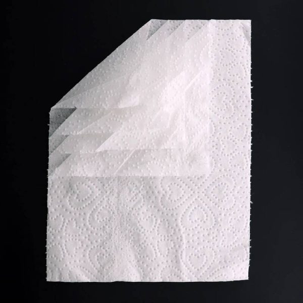 دستمال توالت حجیم شده 2 رول نایس - Image 2