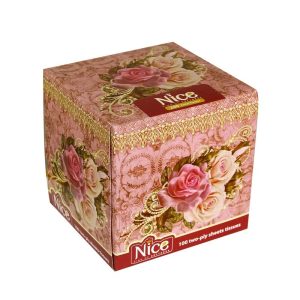 دستمال کاغذی مکعبی نایس 200 برگ دولا